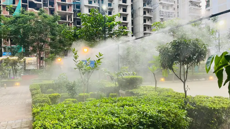 Mist Garden